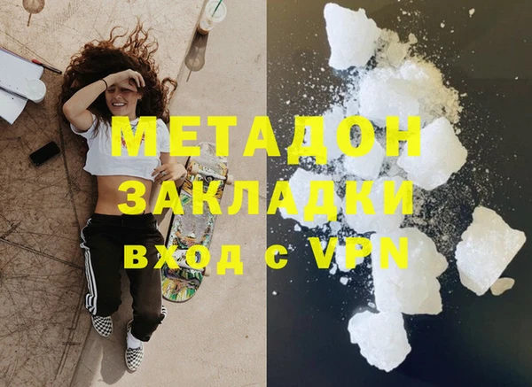 шишки Арсеньев