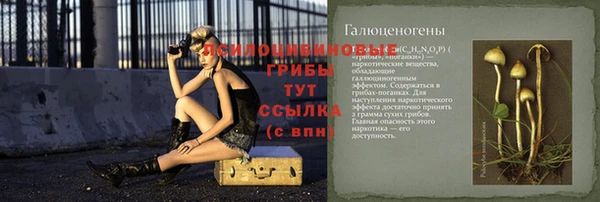 дживик Аркадак