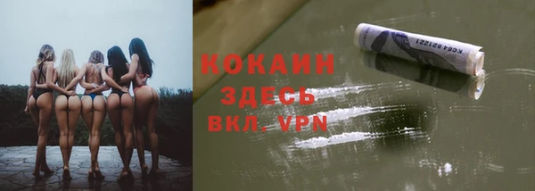 шишки Арсеньев