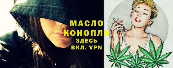 шишки Арсеньев