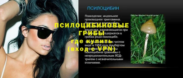 ГАЛЛЮЦИНОГЕННЫЕ ГРИБЫ Армянск