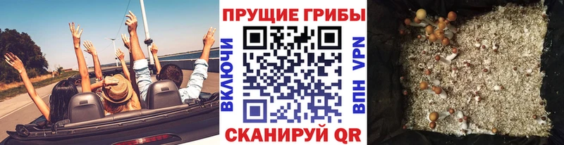Псилоцибиновые грибы мицелий  Калуга 
